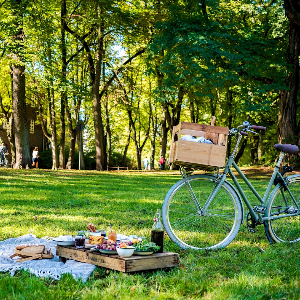 Picknicken im Münsterland