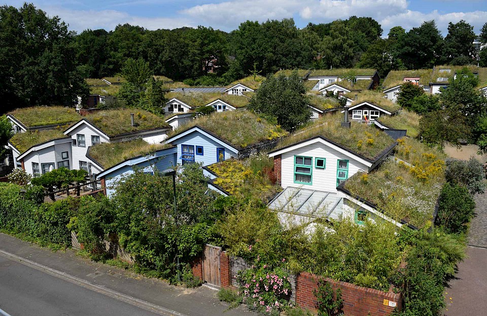 Ökosiedlung mit Dachbegrünung